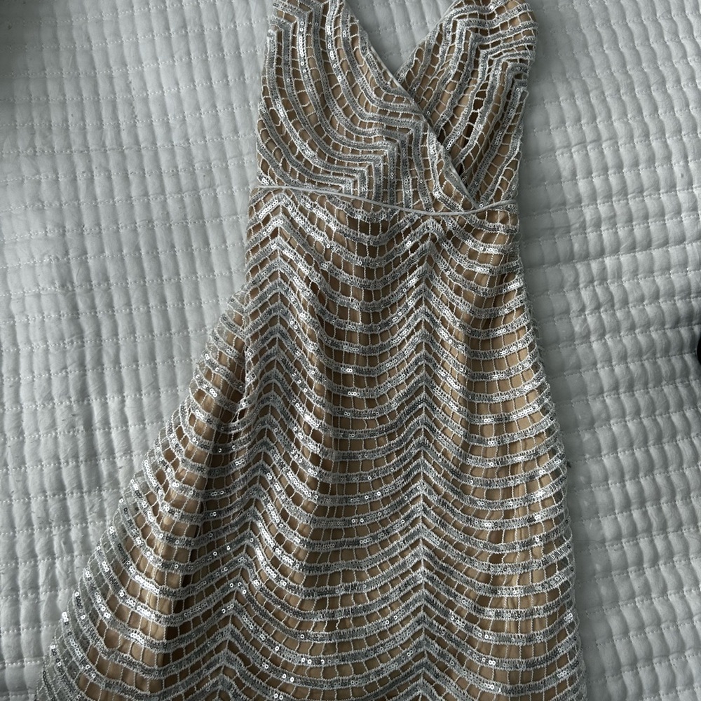 Elegant Lulus Silver and Tan Women's Mini Dress